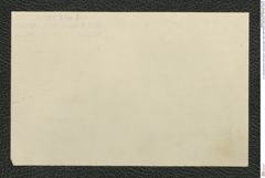 k.k. naturhistorisches Hofmuseum, Intendanzakten 1885-1896 (Hauer), Aktenzahl Z.186/1894, Seite 2